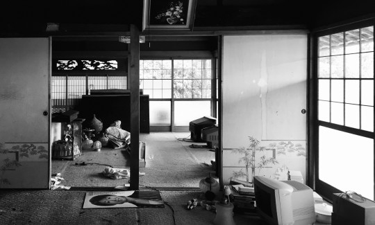 The smell of tatami, Credit: Michael Sela