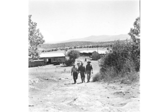 הקיבוץ והמדינה: 1904–1948