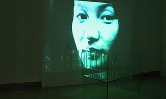 Real? Motherhood, 2000, video installation