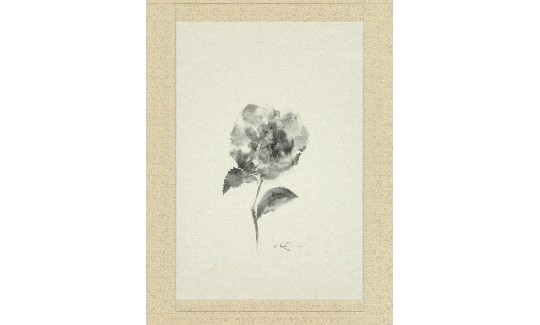 Pasadena Peony Ink on Paper, Hanging Scroll 