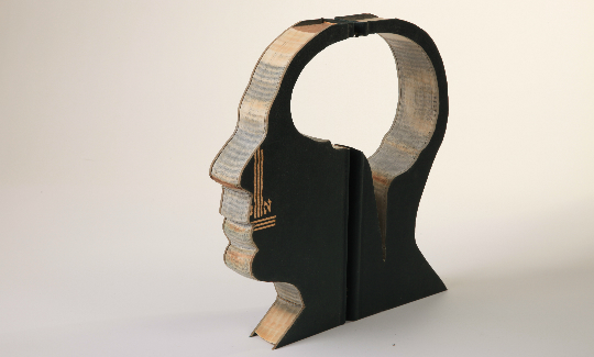 Etamar BeglikterBrainless, 2008Treated book